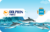 SANDBOX - Anguilla 1 GB - 7 Days
